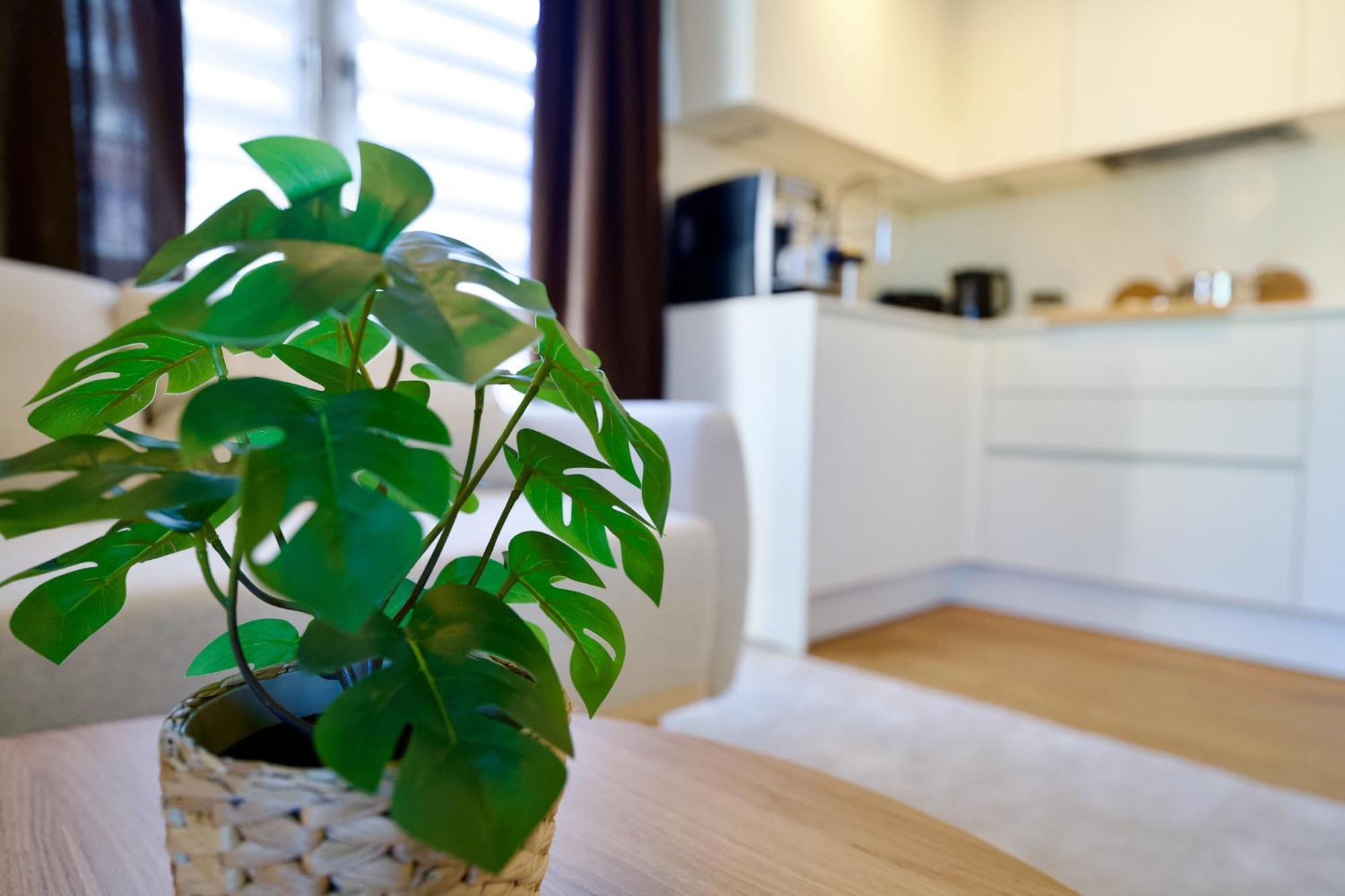 Ferienwohnung Edler Wohnraum Schwanenteich-Oase Mit Balkon, Kaffeevollautomat, Lift & Parkplatz Zwickau Exterior foto